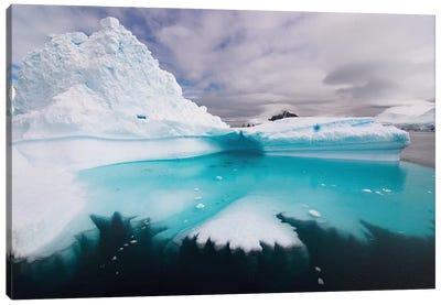Floating Iceberg, Southern Ocean Canvas Art Print - Ice & Snow Close-Up Art