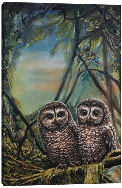 Owl You Need Is Love Canvas Art Print - Love Birds