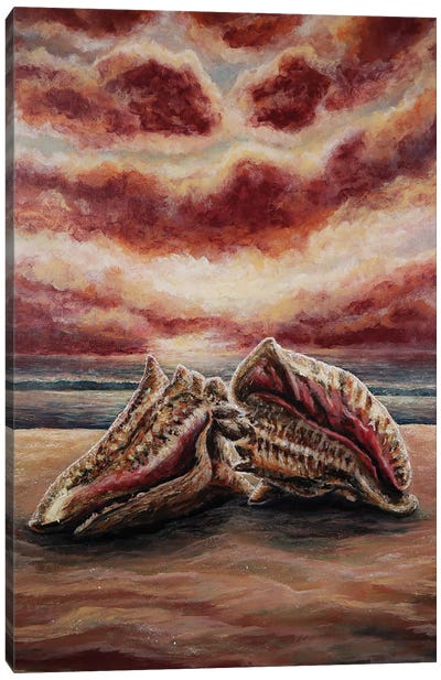 I'm Conchs About You Canvas Art Print - Karin Brauns