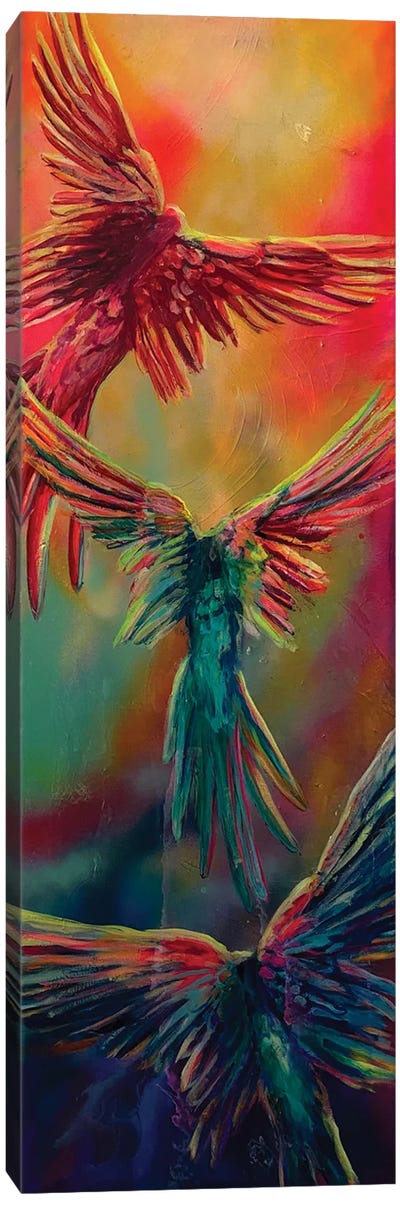 Spread Your Wings III Canvas Art Print - Karin Brauns