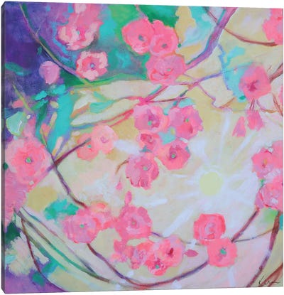 Cherry Blossom Sunshine Canvas Art Print - Kerri McCabe