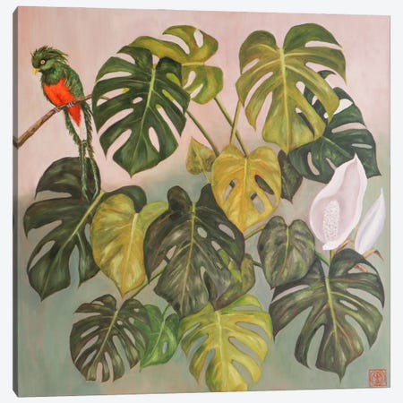 Monstera With Parrot Canvas Print #KBI10} by Katia Bellini Canvas Art Print