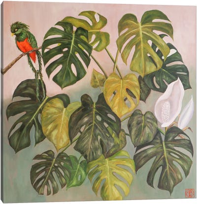 Monstera With Parrot Canvas Art Print - Green Art