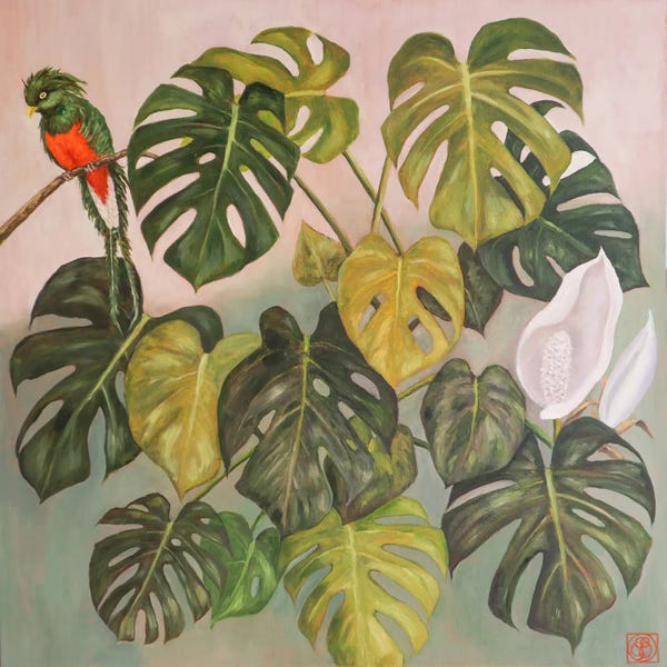 Tranquil Gardens: Monstera With Parrot by Katia Bellini