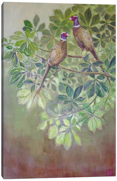Pheasants Canvas Art Print - Pheasant Art
