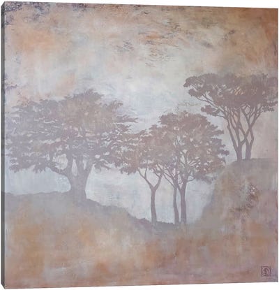 Woodland Scene I Canvas Art Print - Mist & Fog Art