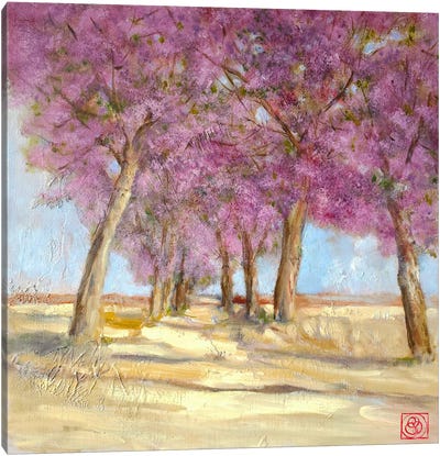 Blooming Tree Alley Canvas Art Print - Katia Bellini