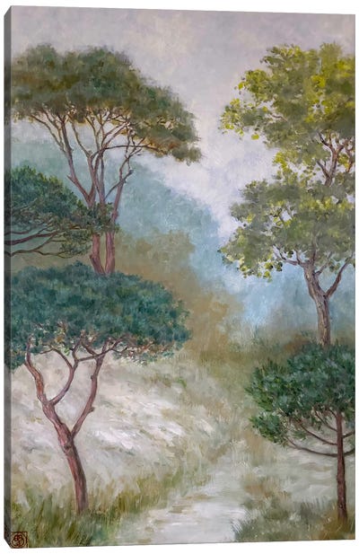 Woodland Scene III Canvas Art Print
