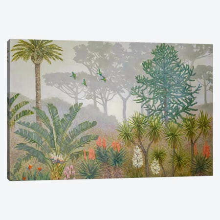 Botanical Garden II Canvas Print #KBI2} by Katia Bellini Canvas Print