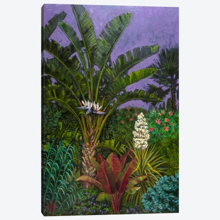 Botanical Gardens At Night Canvas Print #KBI3} by Katia Bellini Art Print