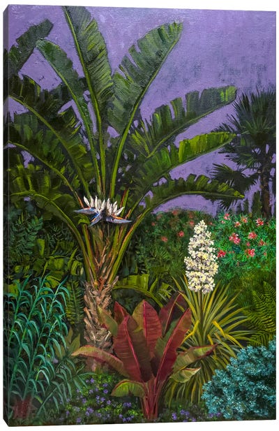 Botanical Gardens At Night Canvas Art Print - Tropical Décor