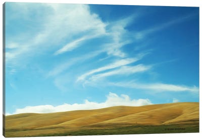 California Sky Canvas Art Print