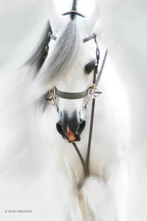 Dream Horse by Kari Brooks wall art