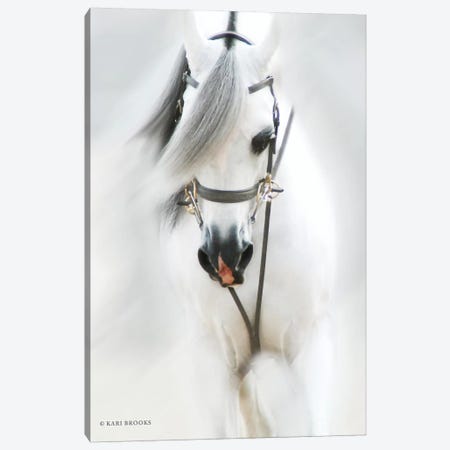 Dream Horse Canvas Print #KBK6} by Kari Brooks Canvas Wall Art