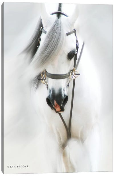 Dream Horse Canvas Art Print