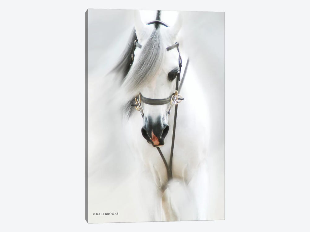 Dream Horse by Kari Brooks 1-piece Canvas Art
