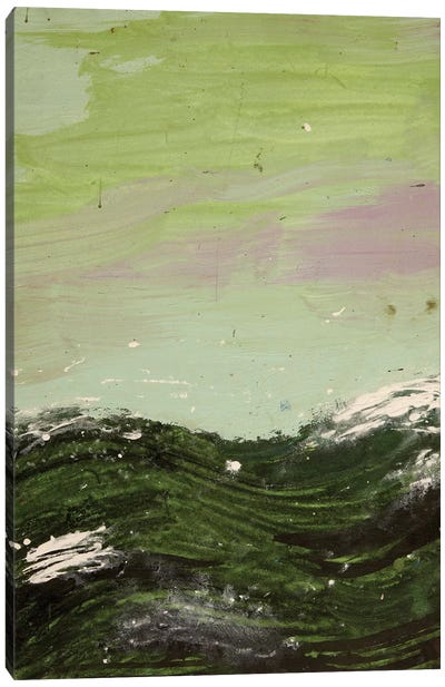 Murky Waters Canvas Art Print - Color Fields
