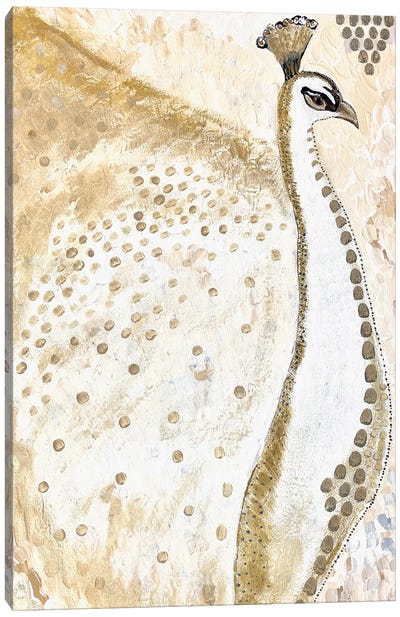 Albino Peacock Gold Canvas Art Print