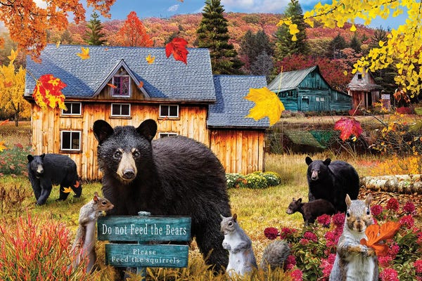 Black Bears: Do Not Feed The Bears by Karen Burke