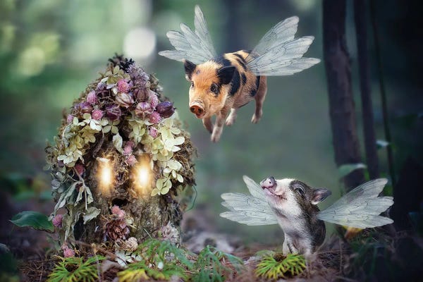 Karen Burke: Fairy Piglets by Karen Burke