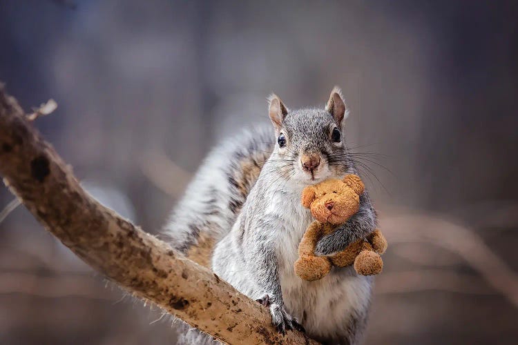 My Bear by Karen Burke wall art