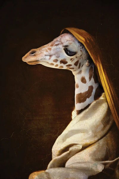 Karen Burke: Portrait Of A Young Giraffe by Karen Burke