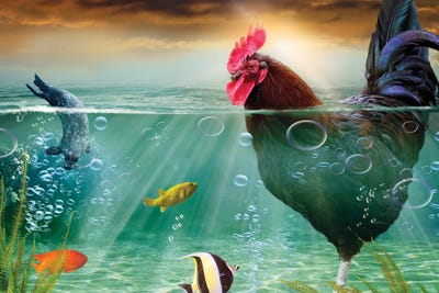 The Outsider by Karen Burke framed canvas print