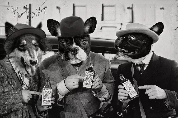 Brighto Stooges Dogs by Karen Burke wall art
