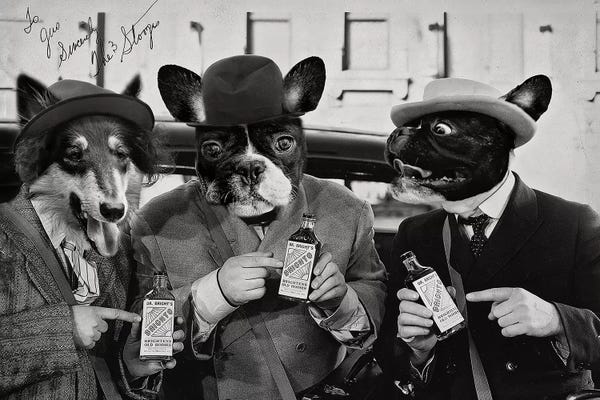 Karen Burke: Brighto Stooges Dogs by Karen Burke