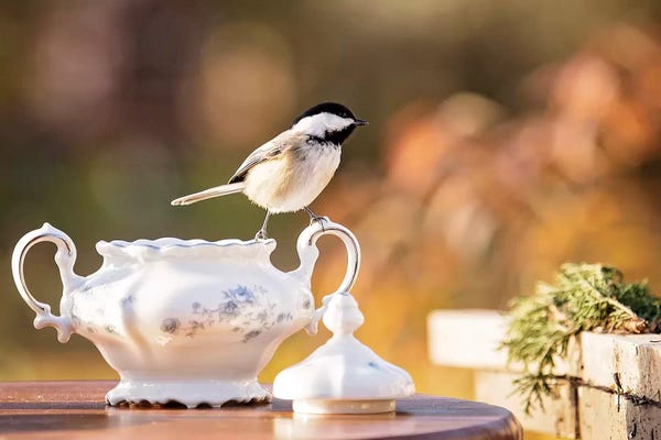 Karen Burke: Chickadee Sugar Bowl by Karen Burke