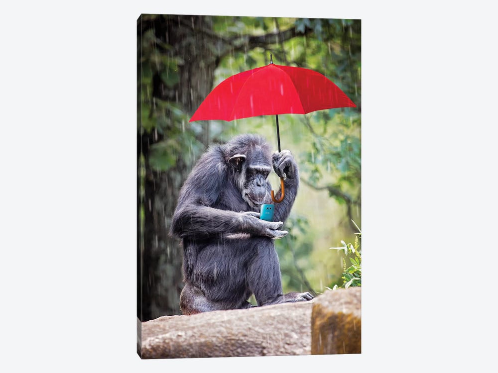 Chimp Staying Connected by Karen Burke 1-piece Canvas Art Print