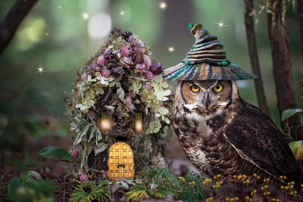 Karen Burke: Fairy Keeper by Karen Burke