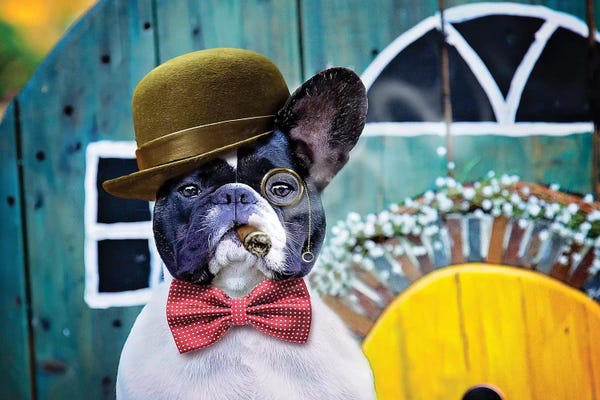 Dog Photography: Gentleman Charlie by Karen Burke
