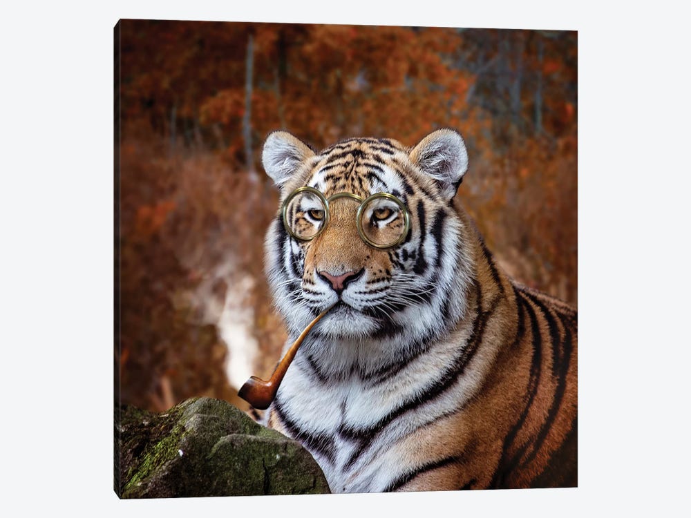 Gentleman Tiger by Karen Burke 1-piece Canvas Art