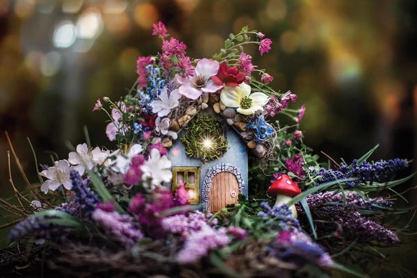 Karen Burke: Magical Fairy House by Karen Burke