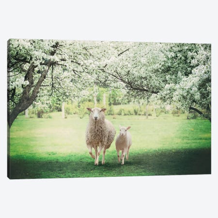 Mommy And Me Cherry Blossom Canvas Print #KBU48} by Karen Burke Canvas Wall Art