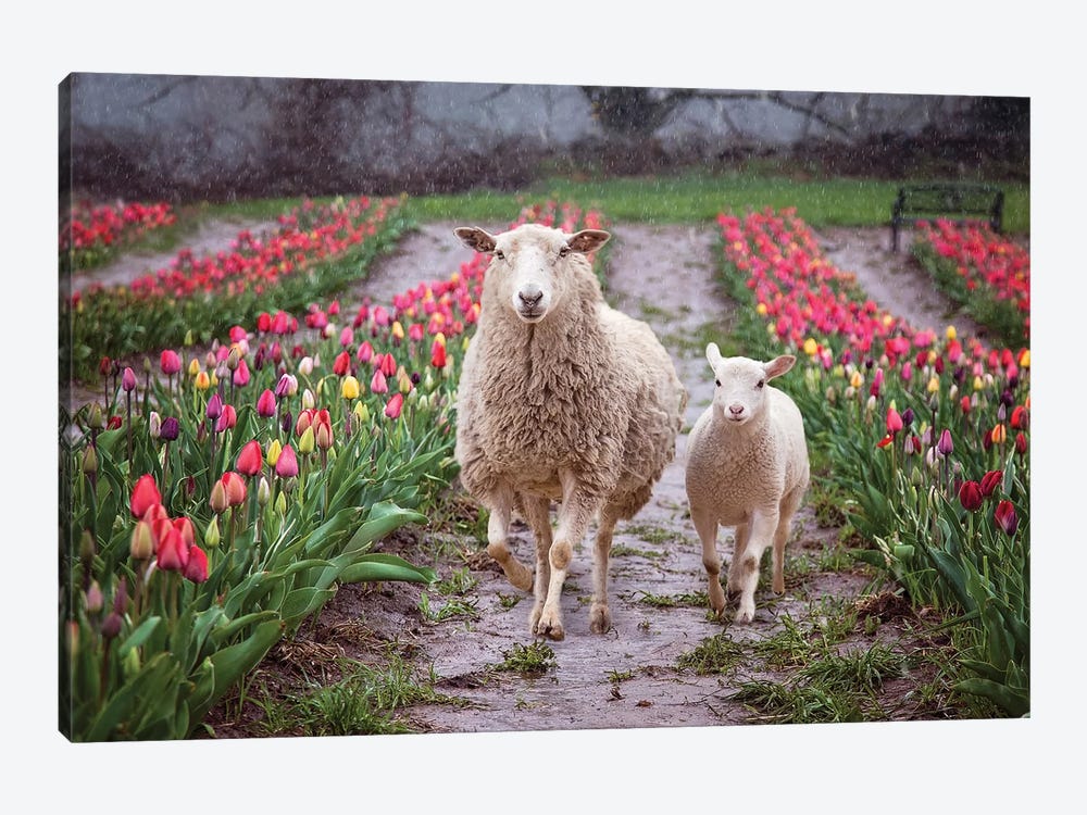 Mommy And Me Tulips by Karen Burke 1-piece Canvas Wall Art
