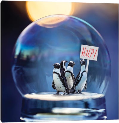 Penguins Help Canvas Art Print - Penguin Art