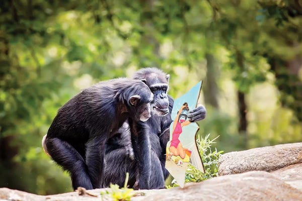 Chimpanzees: Pin Up Girl by Karen Burke