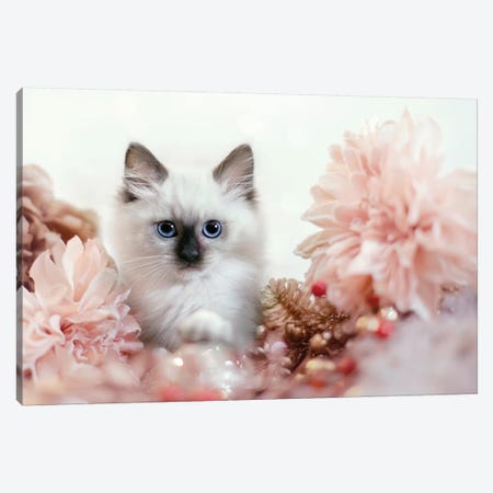 Pretty In Pink Kitten Canvas Print #KBU60} by Karen Burke Canvas Art