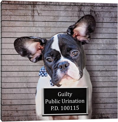 Public Urination Canvas Art Print - Dog Photography