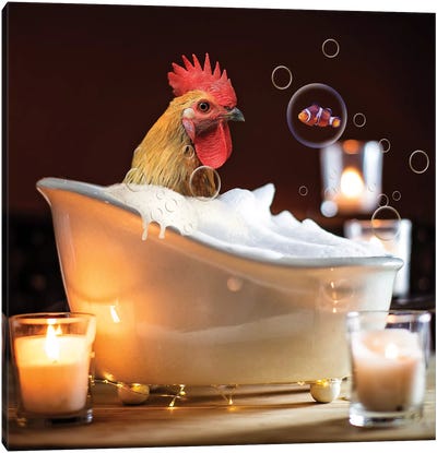 Rooster Bubble Bath Canvas Art Print - Chicken & Rooster Art