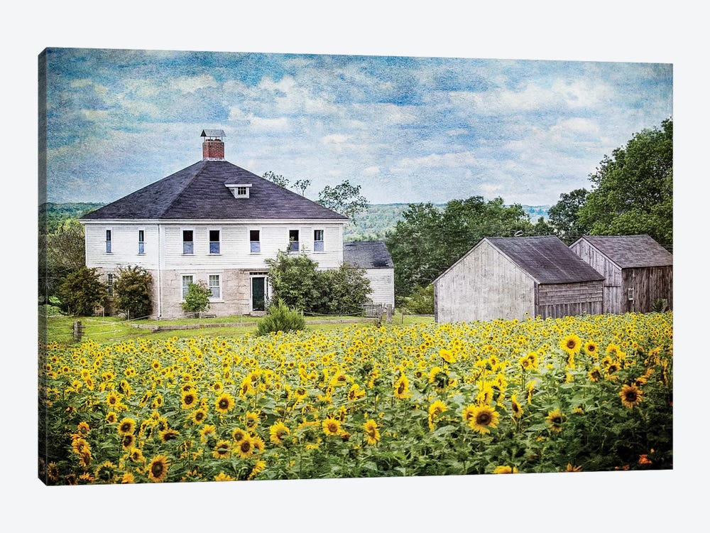 Sunflower Farm by Karen Burke 1-piece Art Print