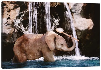 Baby Elephant Bath Canvas Art Print - Art Worth a Chuckle
