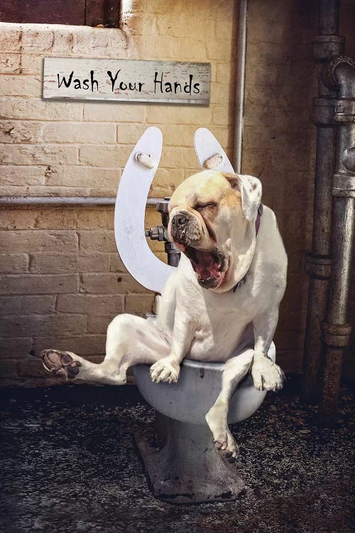 Toilet Troubles by Karen Burke wall art