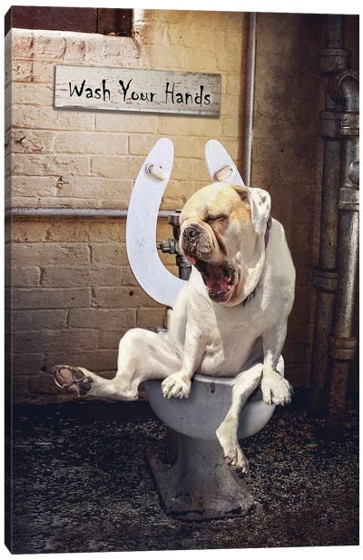 Toilet Troubles Canvas Art Print - Animal & Pet Photography