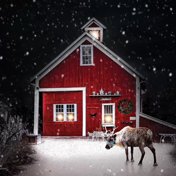 Winter Night Reindeer