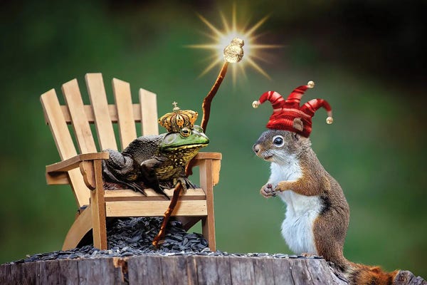 Frogs: Court Jester by Karen Burke