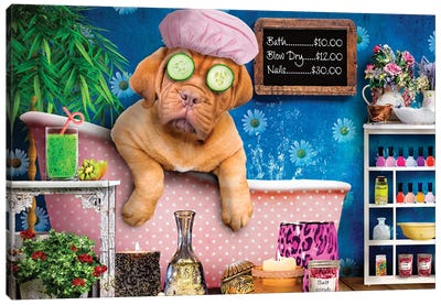 Doggie Day Spa Canvas Art Print - Animal & Pet Photography