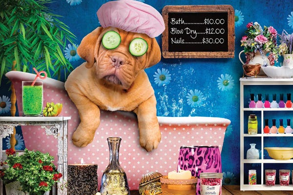 Dog Photography: Doggie Day Spa by Karen Burke